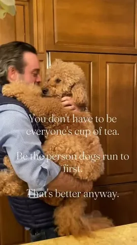 Samson The Goldendoodle (f1b) Instagram post thumbnail