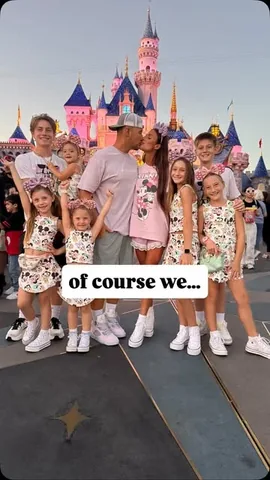 sarah_lit Instagram post about Disney family experience