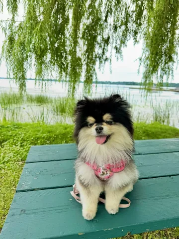 Sasha 🎀 Instagram post thumbnail