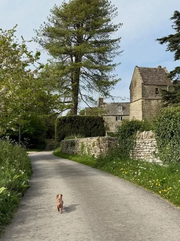 sashawilkins_ Instagram post about Countryside walk