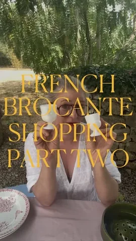 sashawilkins_ Instagram post about French antique finds
