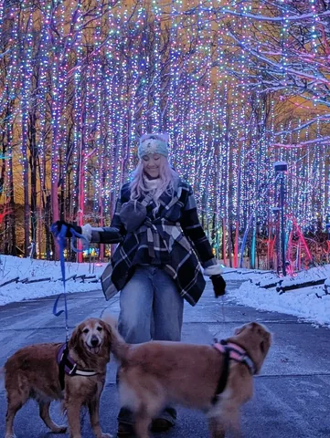 savagegiggles Instagram post about Holiday outing with dogs