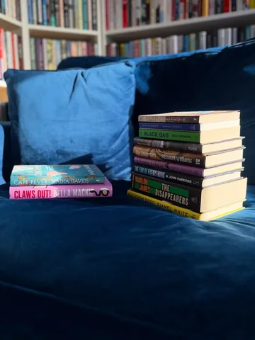 savidgereads Instagram post about Book reviews