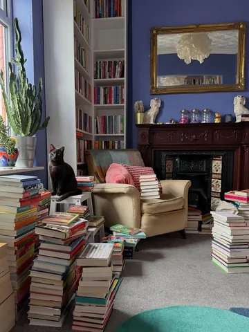 savidgereads Instagram post about Books and cats