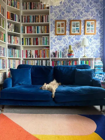 savidgereads Instagram post about Cats and daylight saving time