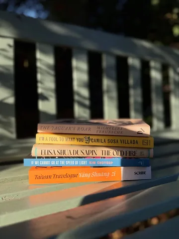 savidgereads Instagram post about Women in translation reading list