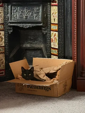 savidgereads Instagram post about Cats and book shopping
