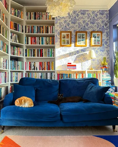 savidgereads Instagram post about Cats and books