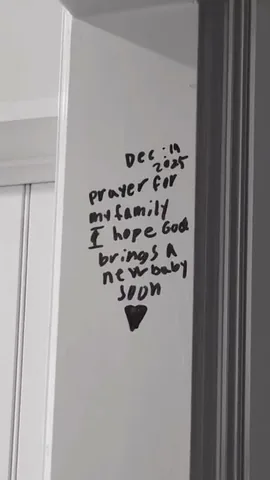 sazan Instagram post about Pregnancy after loss