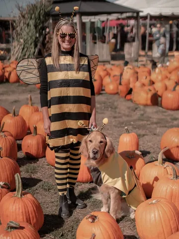 scoutgoldenretriever Instagram post about Dog community event