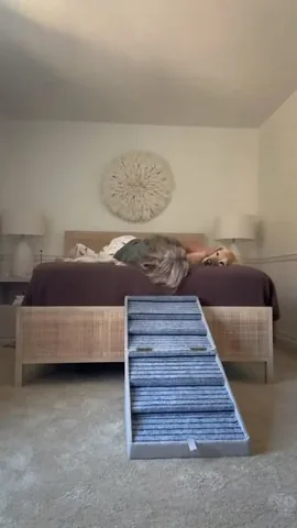 scoutgoldenretriever Instagram post about Cherishing pets