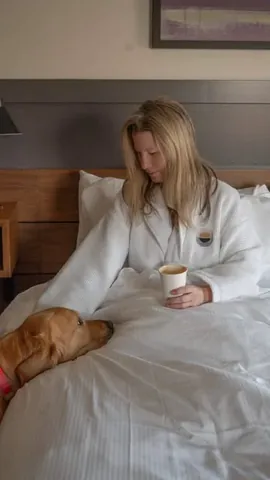 scoutgoldenretriever Instagram post about Giveaway