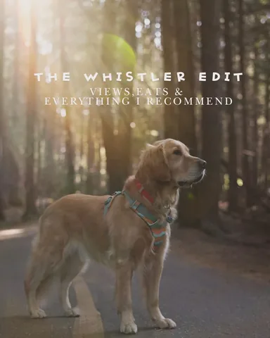 scoutgoldenretriever Instagram post about Whistler travel guide