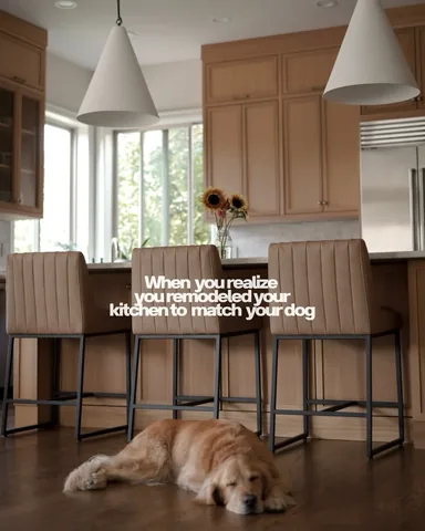 scoutgoldenretriever Instagram post about Home remodeling