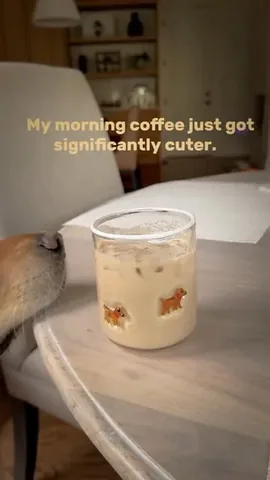 scoutgoldenretriever Instagram post about Morning routine