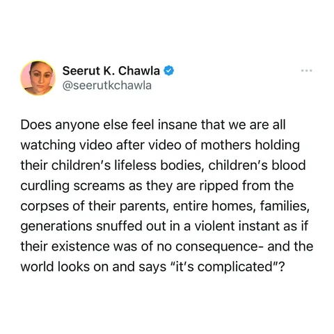 seerutkchawla Instagram post about Gaza humanitarian crisis