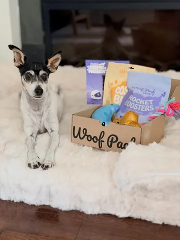 shadow_and_weezer Instagram post about Dog subscription box