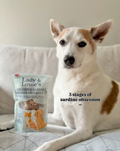 shadow_and_weezer Instagram post about Dog treats