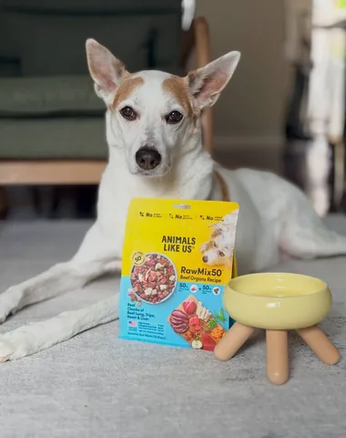 shadow_and_weezer Instagram post about Dog food