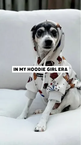 shadow_and_weezer Instagram post about Dog clothing