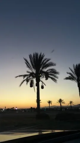 shalicenoel Instagram post about Postoperative recovery