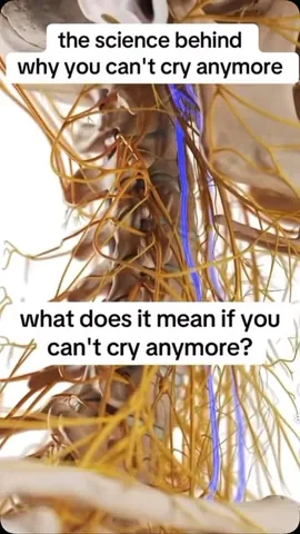 shamelesspsychiatrist Instagram post about Freeze response and ketamine therapy
