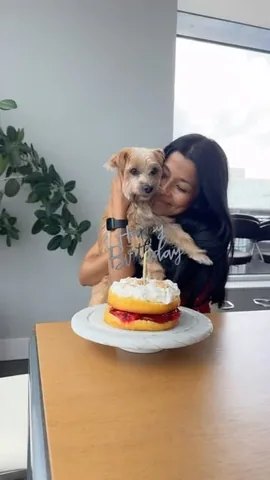 sharonandteddytakethecity Instagram post about Senior dog and anticipatory grief