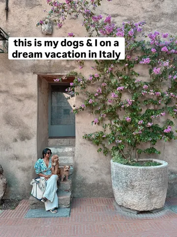 sharonandteddytakethecity Instagram post about Pet cancer remission