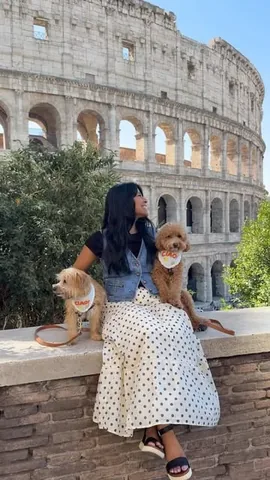 sharonandteddytakethecity Instagram post about Dog friendly Italy travel
