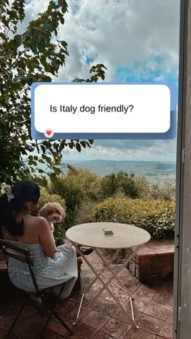 Sharon + Teddy & Bear | Content Creator | Dog Mom Lifestyle Instagram post thumbnail
