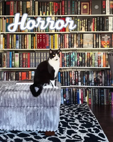 shereadswithcats Instagram post about Bookshelf organization
