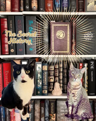 shereadswithcats Instagram post about The Secret History discussion