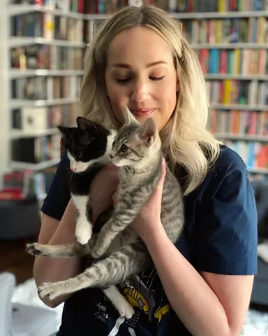 shereadswithcats Instagram post about Cats and book discussion