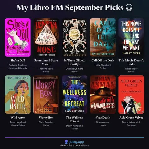 shereadswithcats Instagram post about Audiobook recommendations