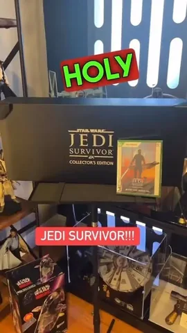 siefe Instagram post about Video game collector’s edition