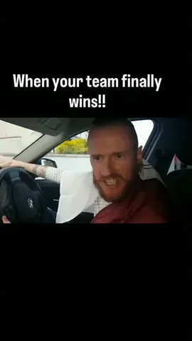 sirstevotimothyofficial Instagram post about Hurling victory humor