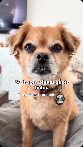smooshy_mooshy Instagram post about Workplace attitude