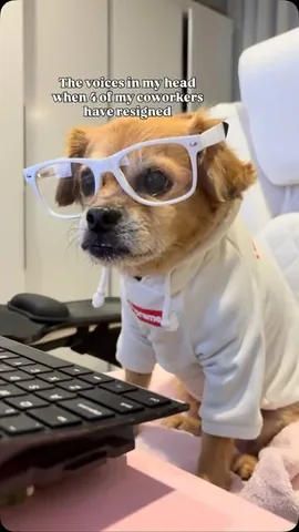 smooshy_mooshy Instagram post about Workplace burnout