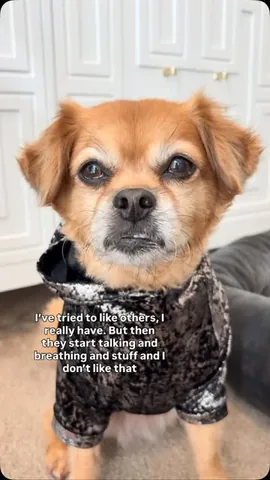 smooshy_mooshy Instagram post about Social boundaries