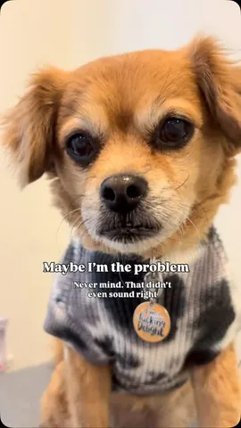 smooshy_mooshy Instagram post about Accountability