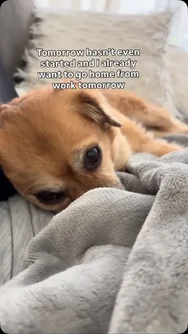 smooshy_mooshy Instagram post about Workplace burnout