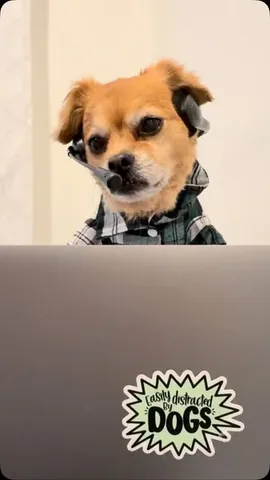 smooshy_mooshy Instagram post about Workplace communication