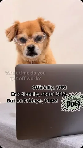 smooshy_mooshy Instagram post about Friday work culture