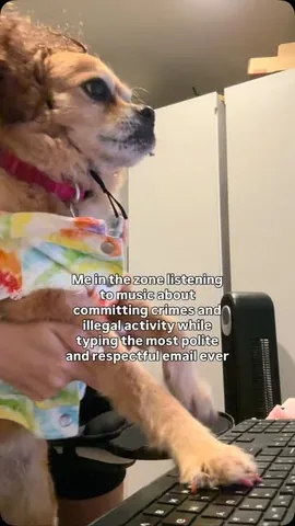 smooshy_mooshy Instagram post about Corporate communication