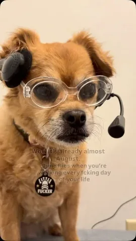 smooshy_mooshy Instagram post about Workplace burnout