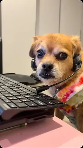 smooshy_mooshy Instagram post about Workplace burnout