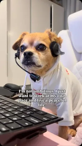 smooshy_mooshy Instagram post about Workplace burnout