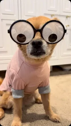 smooshy_mooshy Instagram post about Artificial intelligence