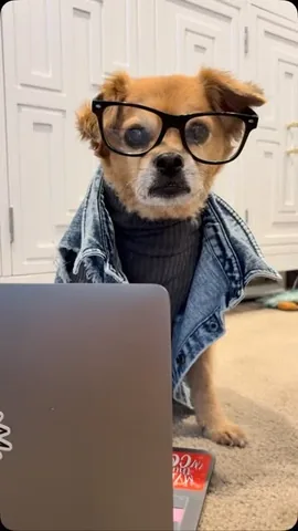 smooshy_mooshy Instagram post about Workplace humor