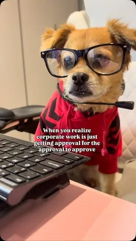 smooshy_mooshy Instagram post about Project management